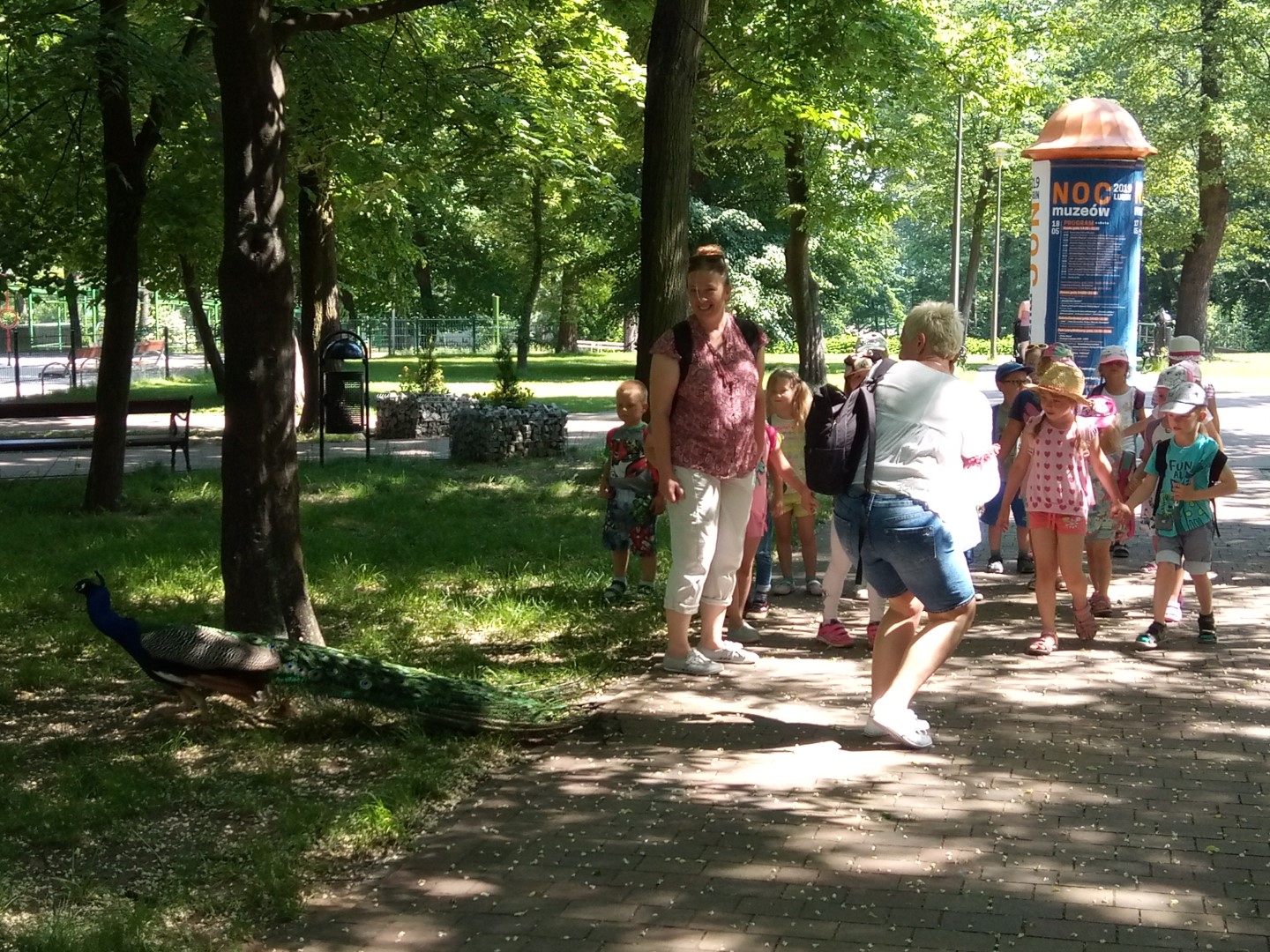 IMG 20190605 104346