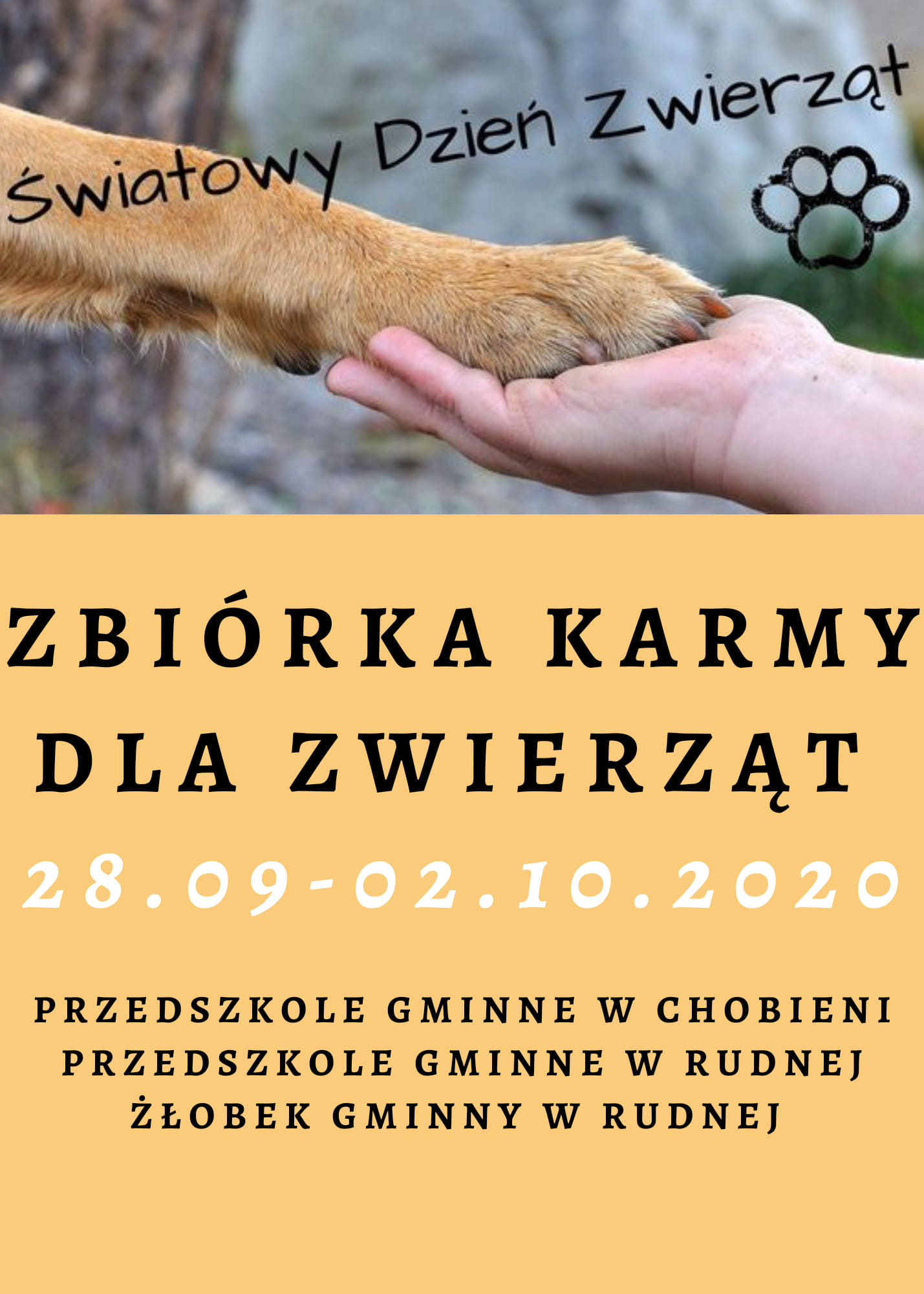 zbiórka karmy zdj