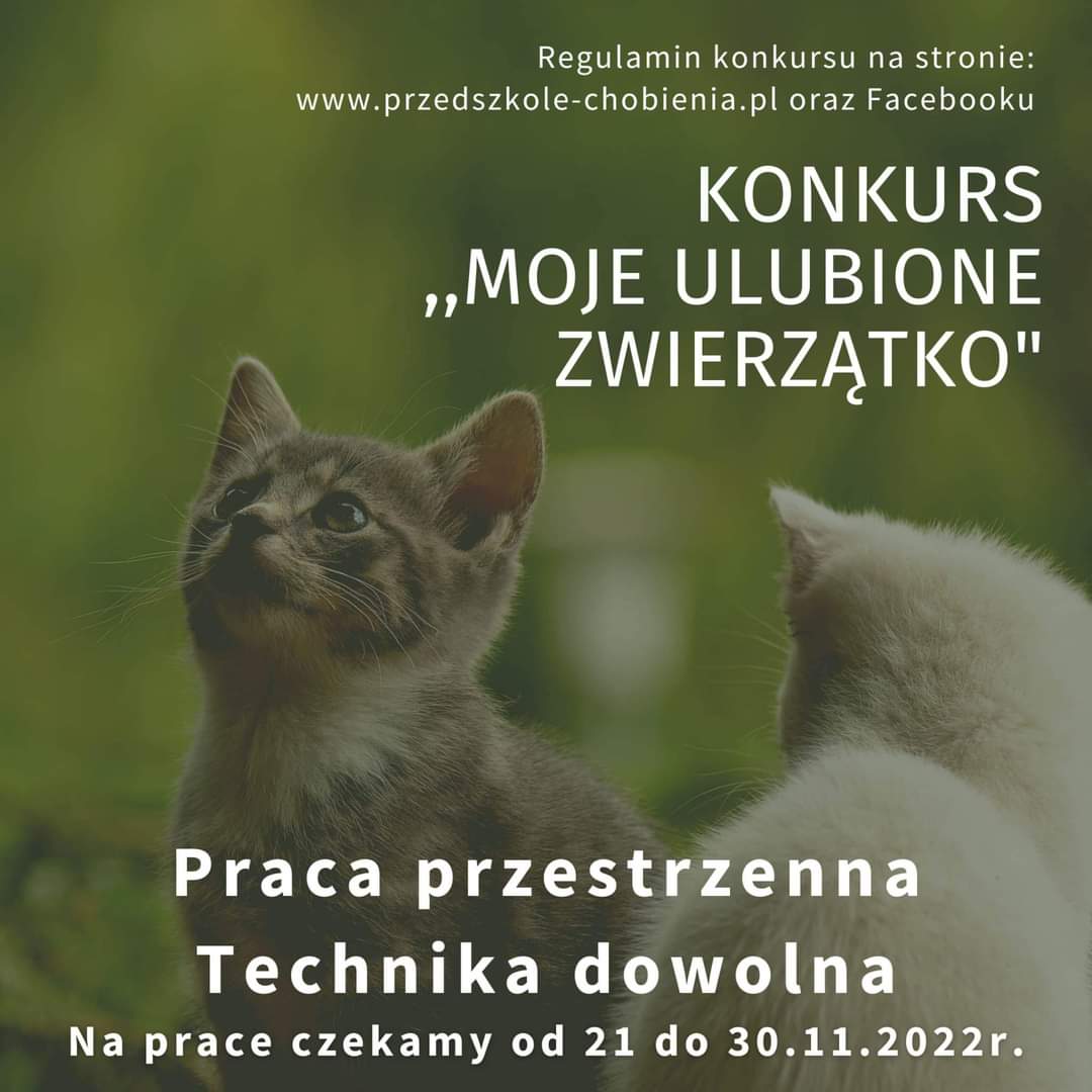 FB IMG 1669129323080