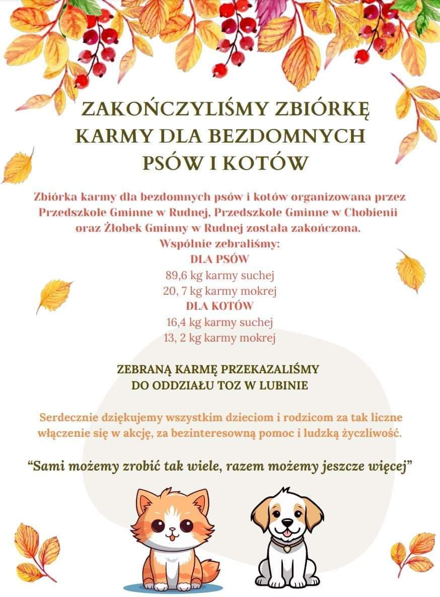 FB IMG 1699965856094